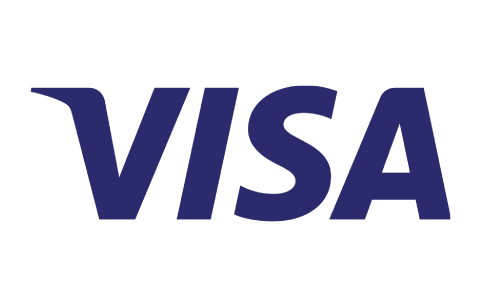 Visa pay icon